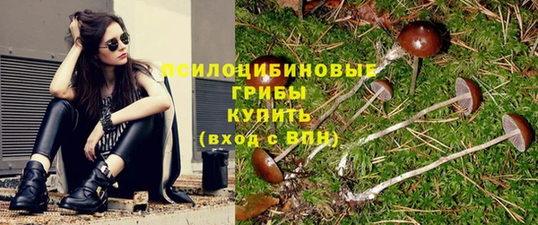 спайс Аша