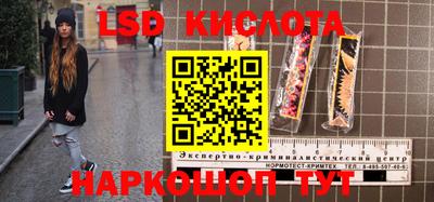 гидра Новодвинск