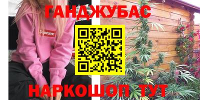 гидра Новодвинск