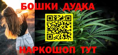 гидра Новодвинск