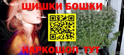 гидра Новодвинск
