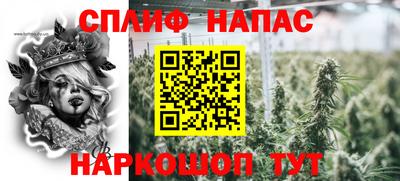 гидра Новодвинск