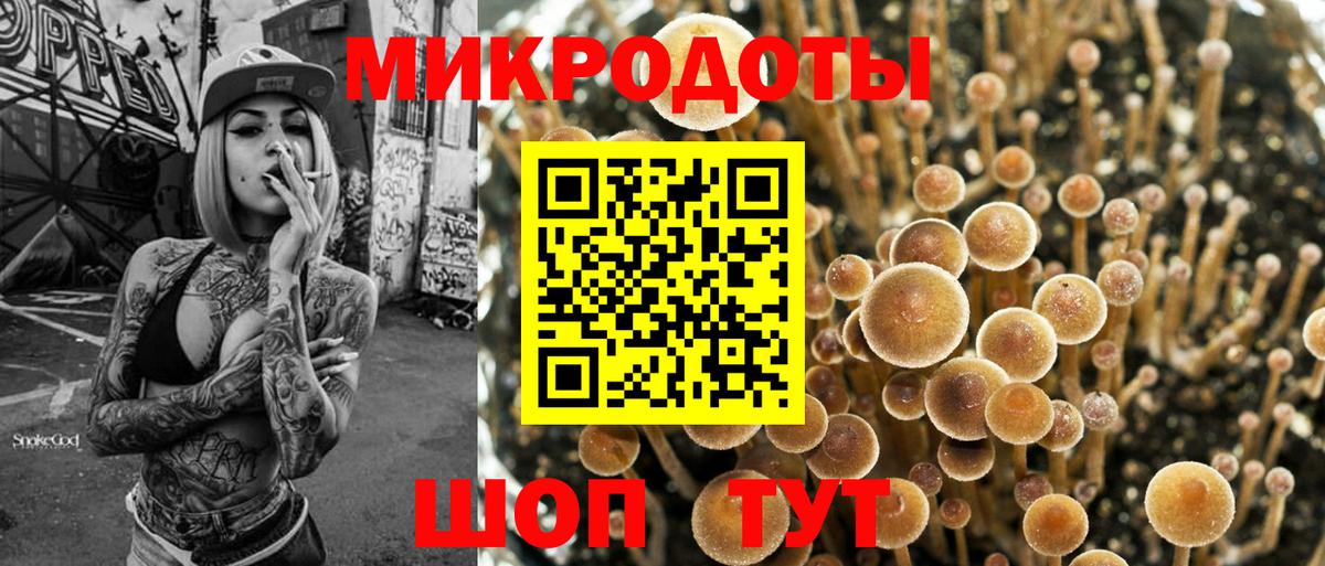 Галлюциногенные грибы прущие грибы  Вход с VPN  Шахты 